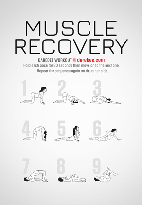 image-1004399-Muscle_Recovery_Pic-c20ad.png